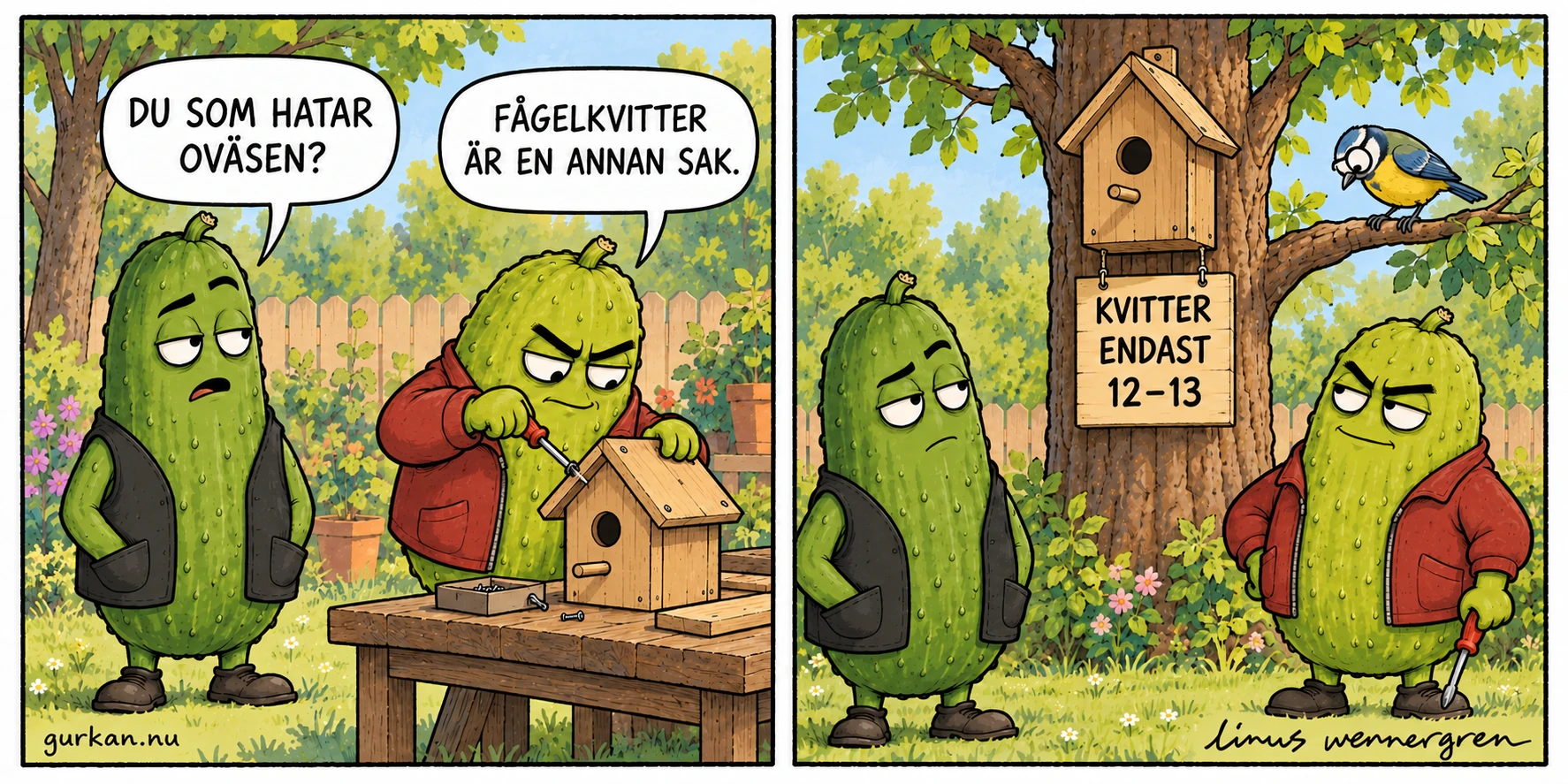 Arga kompisen bygger en fågelholk. Gurkan frågar hur det går ihop med att han hatar oväsen. Fågelkvitter är en annan sak, svarar kompisen. I nästa ruta hänger holken i ett träd med skylten Kvitter endast 12–13. Kompisen är nöjd och Gurkan höjer ett ögonbryn.