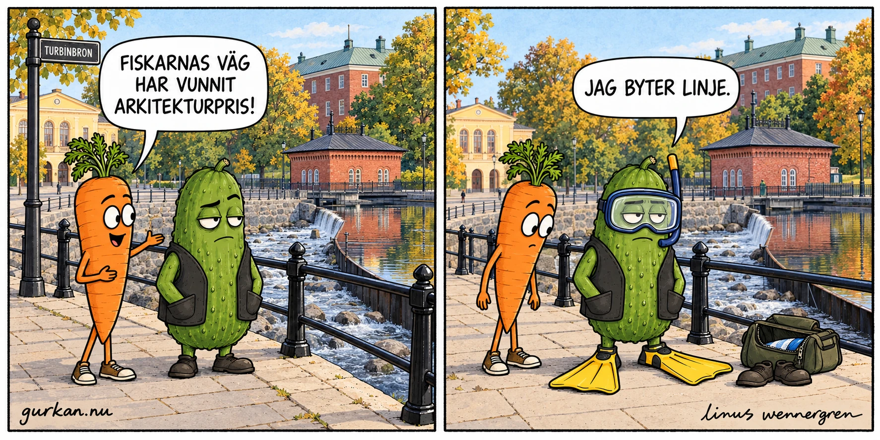 Moroten och Gurkan står vid Svartåns fiskpassage nära Turbinbron, med Turbinhuset, slottet och teatern i bakgrunden. Moroten säger att fiskarnas väg har vunnit arkitekturpris. I nästa ruta står Gurkan kvar på land, nu med cyklop och gula simfötter. Hans skor och väska ligger bredvid. Han säger: Jag byter linje.